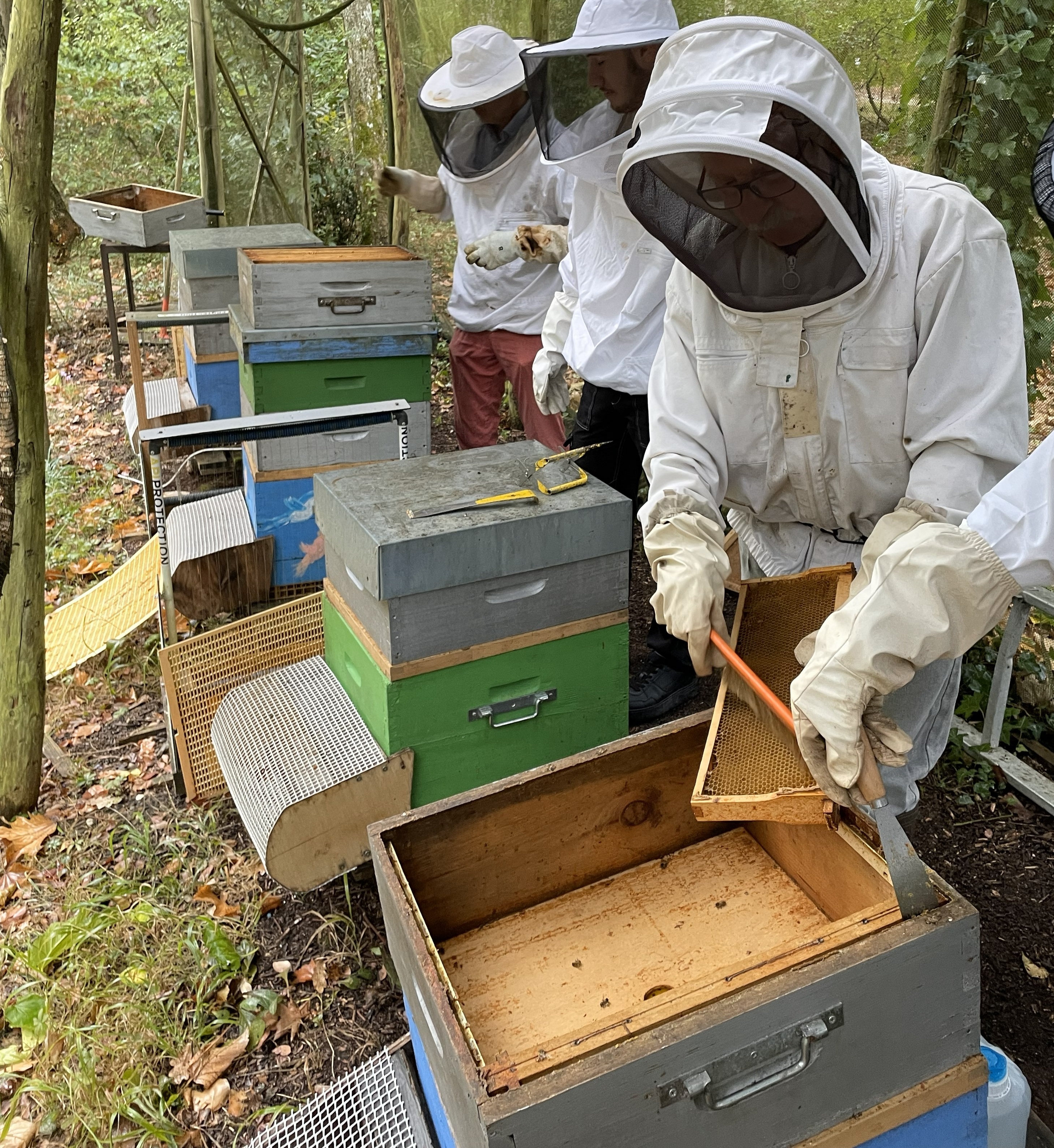 le rucher de  thouars
